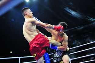 FF聯賽首戰引爆鵬城 首創搏擊聯賽開啟深圳拳擊新紀元